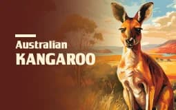 Series: Australian Kangaroo