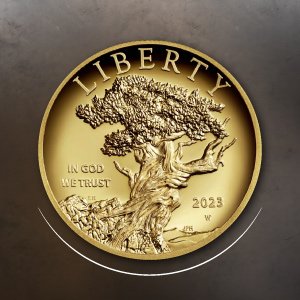 2023 American Liberty High Relief Gold Coin